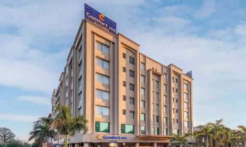Comfort Inn Alstonia