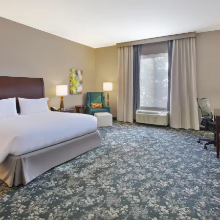 HIlton Garden Inn Detroit/Novi