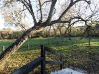 Charming cabin with WiFi and AC in delightful Belton Hotels in Belton