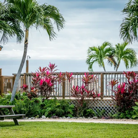 Ragged Edge Resort & Marina