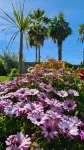 Villa Martinus - Bed and Breakfasts
