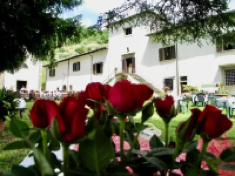 Villa Grassina Hotels in Pelago