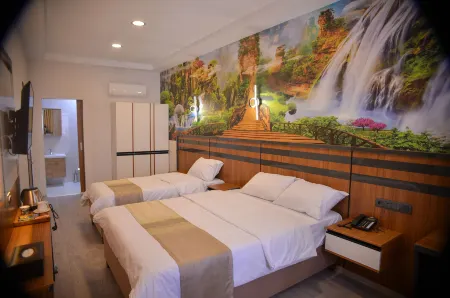 Vizyon Life Pansiyon Отели в г. Sursuru Mahallesi