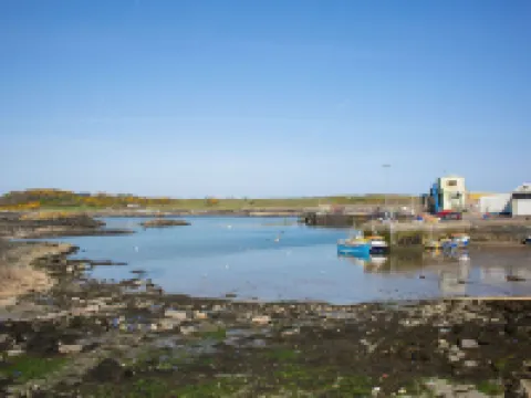 ザ アンカー アパートメンツ ダウンパトリックのホテル
