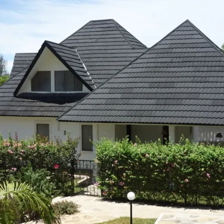 Morning Star Diani
