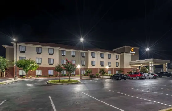 佩爾城靠近洛根馬丁湖的康福特套房