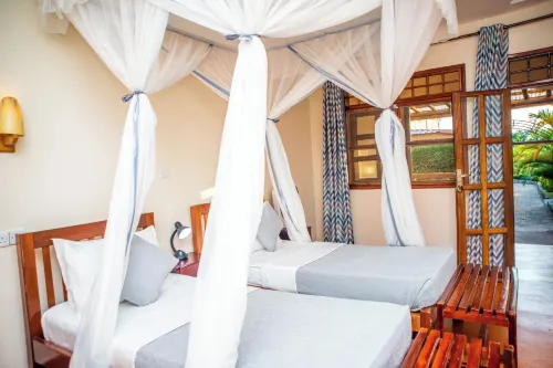 African Roots Guesthouse Entebbe - Wifi