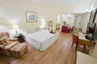 デイレル ホテル イ セントロ デ コンヴェンソエス のホテル