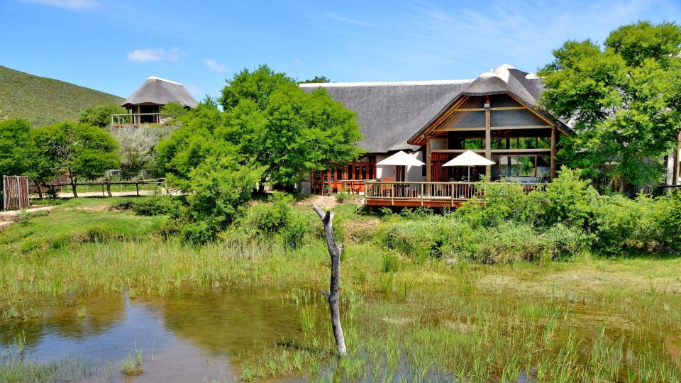 Garden Route Safari Camp