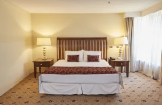 託瑞瑪爾里昂酒店