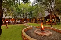 Black Rhino Game Lodge Hotels in Pilanesberg National Park