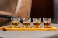 Delta Hotels Nashville Airport - bar
