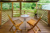 Epiphyte B & B
