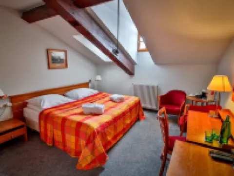 LH Hotel Dvořák Tábor Congress & Wellness Hotels in Tabor