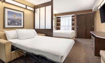 Microtel Inn & Suites by Wyndham Estevan