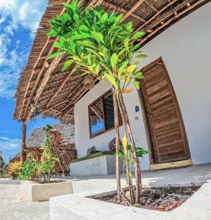 Ananda Beach Hotel Отели в г. Paje