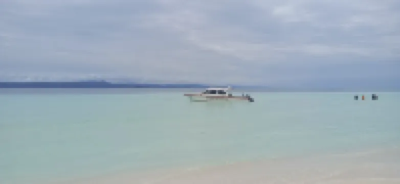 Happy Homestay Arborek Hotels in Raja Ampat