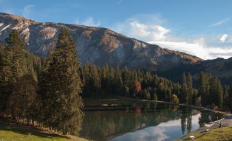 Chalet Sur les Monts Morzine