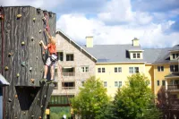 Mountain Lodge at Okemo-1Br Newly Renovated 1 Bedroom Condo by RedAwning