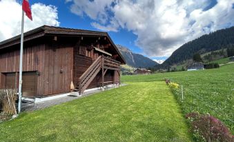 Alpenchalet Weidhaus Gstaad