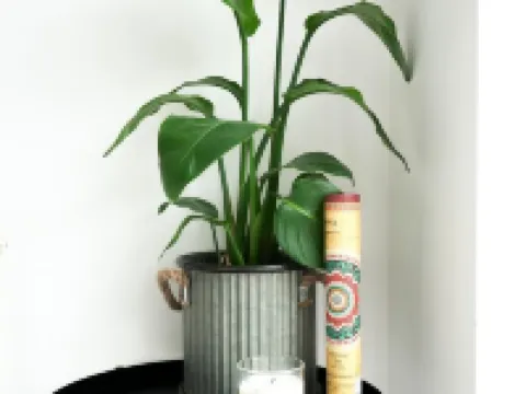 Irving House Hoteles en Solihull