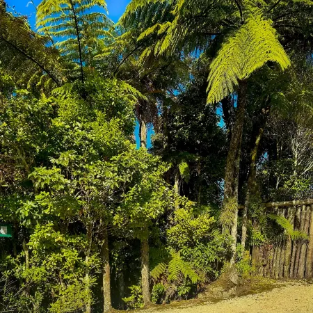 Te Tiro Accommodation