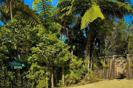 Te Tiro Accommodation Отели в г. Уэйтомо