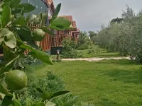 Riviera Bungalow Evleri Demre Ξενοδοχεία στην πόλη Demre