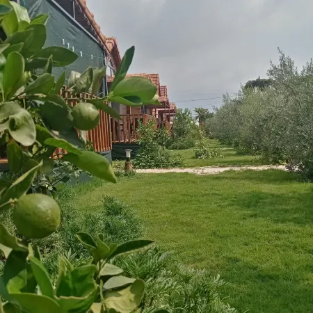 Riviera Bungalow Evleri Demre