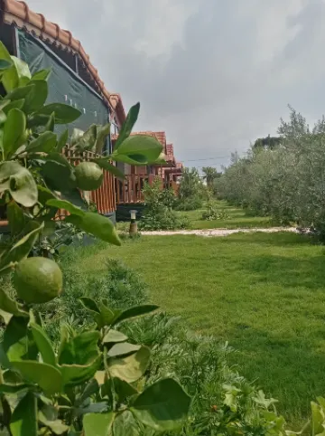 Riviera Bungalow Evleri Demre