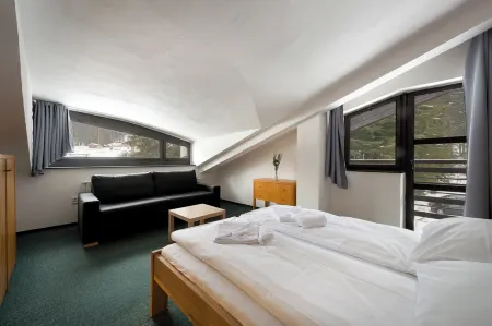 Hotel Bohemia Отели в г. Железна-Руда