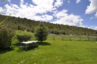 Gorgeous Pet-friendly Boutique Ranch ! Next to  skiing, fishing, rafting Hotels near Aspen Snowmass Business Offices