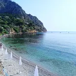 Seafront House Blue Gull