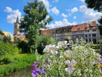 Hotel am Kaisersaal Hotels in 