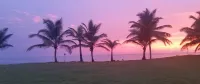 Ocean view luxury condo only steps from the beach