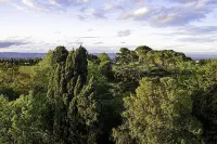 Cottage for 6 people at Domaine de la Forçate with swimming pool in the park.