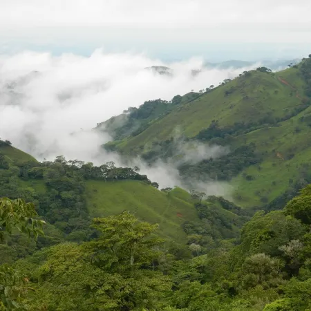 Casa Cielo: Bird’s Eye Views– proceeds support Sustainability Center