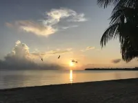 Beach Front Cottage in the heart of Placencia Village