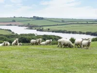 Greenfinch Hotels in Holsworthy