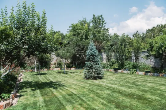 My Georgian Village Hotels in 