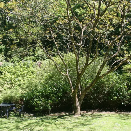 Mill Cottage