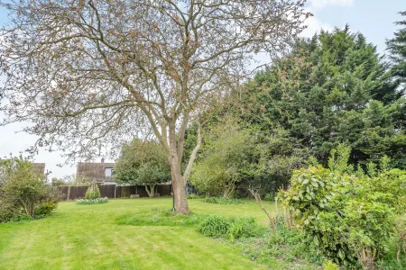 Violet Cottage Отели рядом с достопримечательностью «Сандрингем Эстейт»