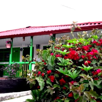 Hostal y Camping Los Girasoles