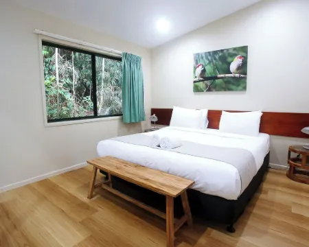 Chambers Wildlife Rainforest Lodges Hotels in Malanda