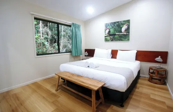 錢伯斯野生動物雨林旅舍