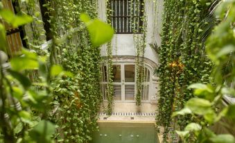 Leones de Alba Hotel Boutique