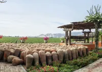 Hotel Viñas Queirolo Hotels in 