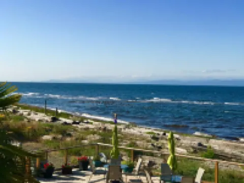 Buena Vista by the Sea