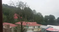 プレザント ビュー ムリー