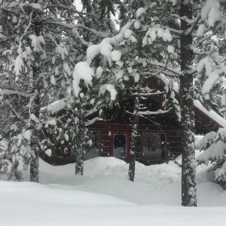 Reclusive Moose Cabins